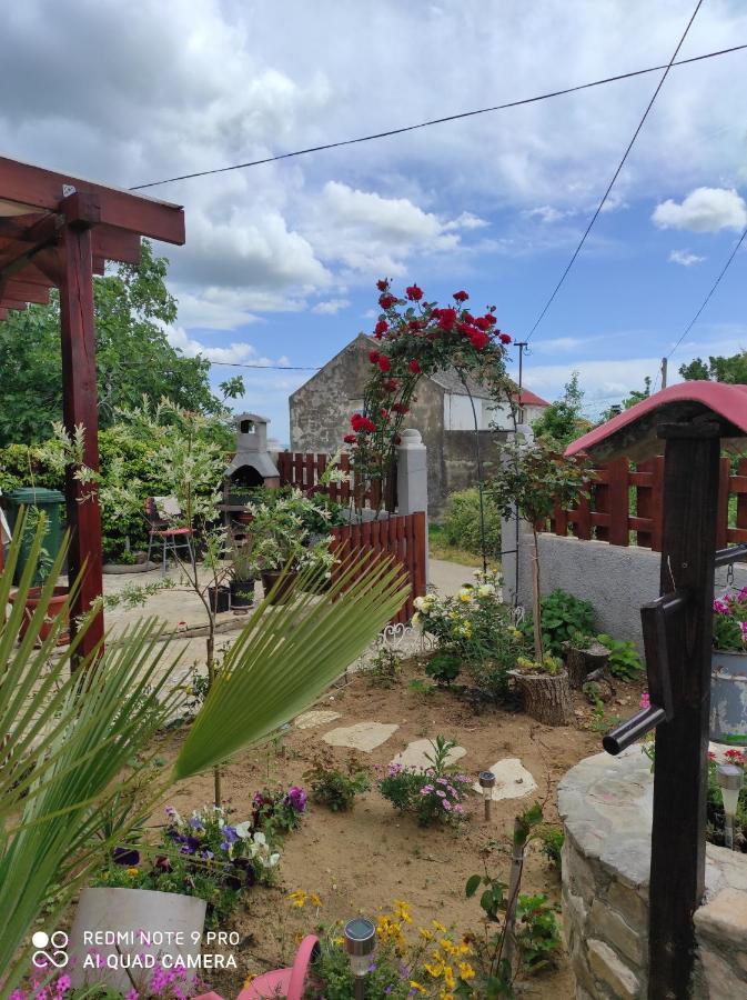 Kuca Za Odmor Delfina Villa Slivnica Ngoại thất bức ảnh